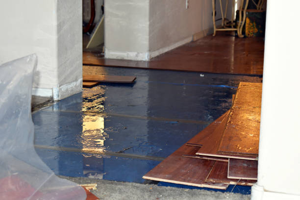 Professional Flood Damage Restoration technician working in Glenwood, IN